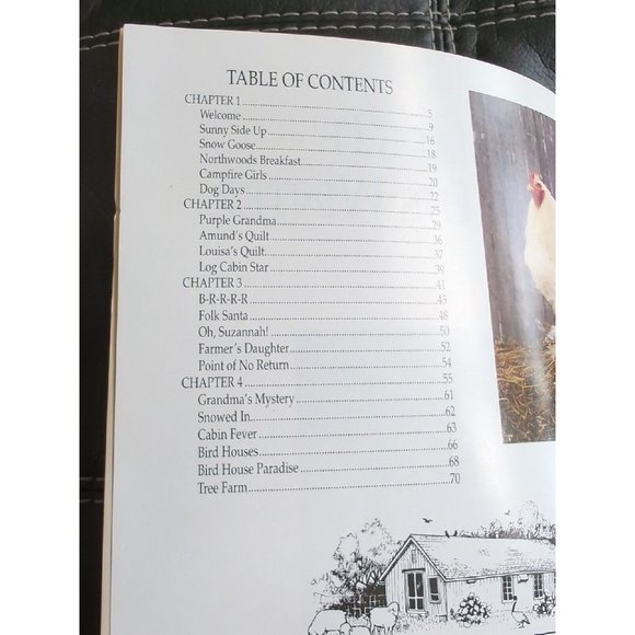 "WE MADE IT THRU THE WINTER" Quilt Projects Booklet by Country Threads 1995 - Picture 2 of 4